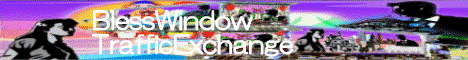 �A�N�Z�X�A�b�v�Ȃ�@BlessWindowTrafficExchange